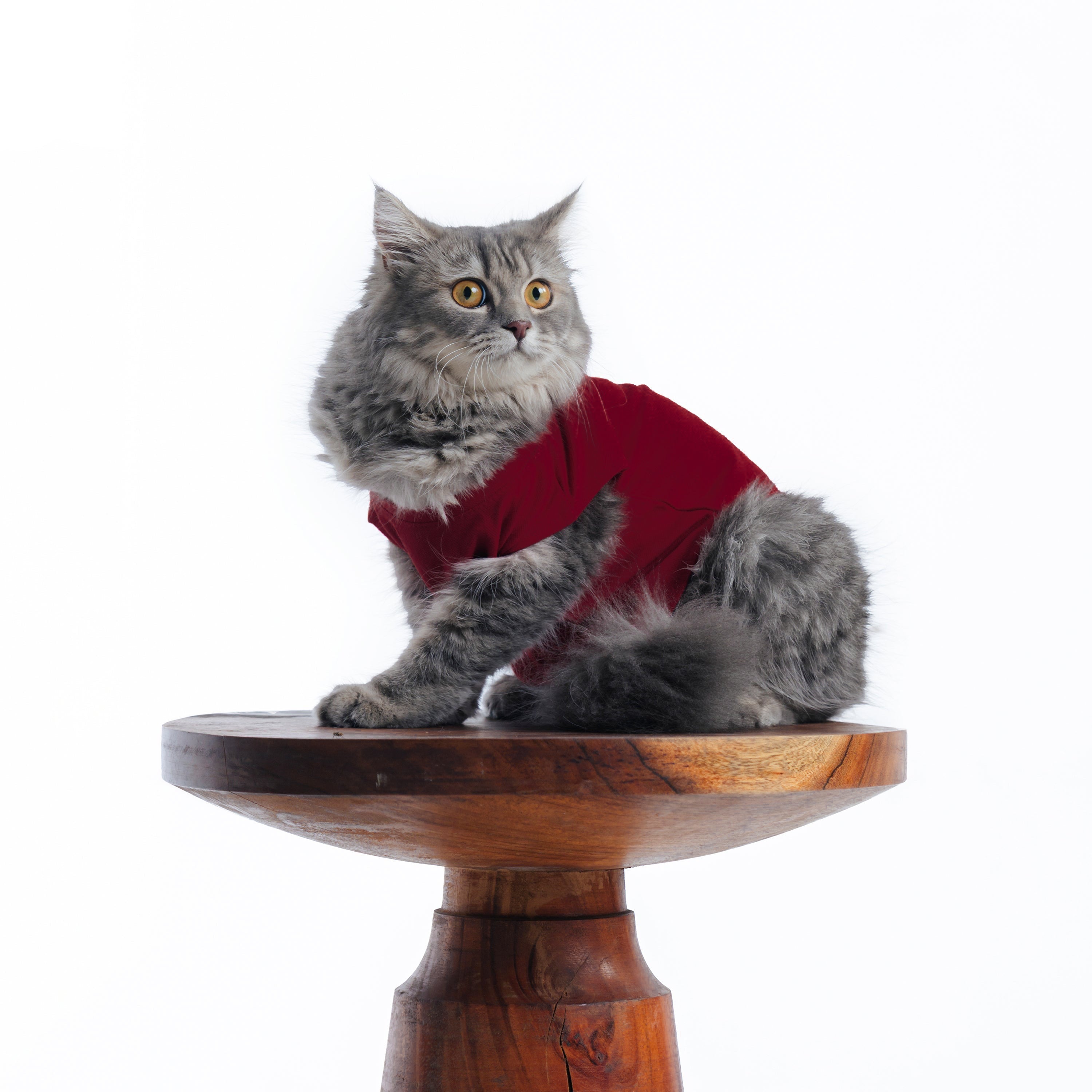 Article 038 // Catto Tee